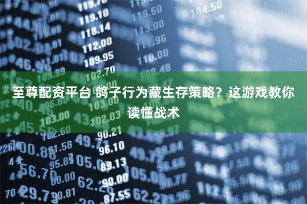 至尊配资平台 鸽子行为藏生存策略？这游戏教你读懂战术