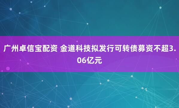 广州卓信宝配资 金道科技拟发行可转债募资不超3.06亿元