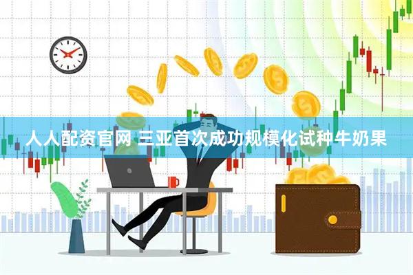 人人配资官网 三亚首次成功规模化试种牛奶果